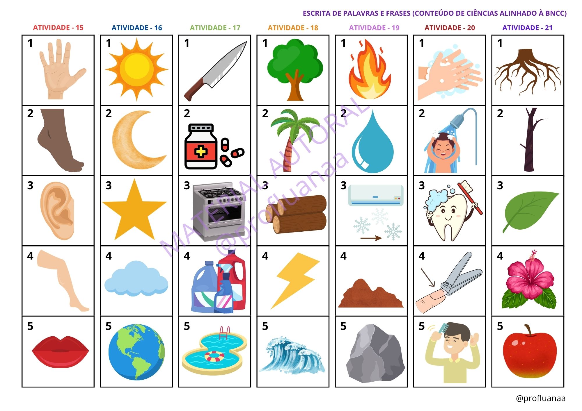 Recurso visual 4