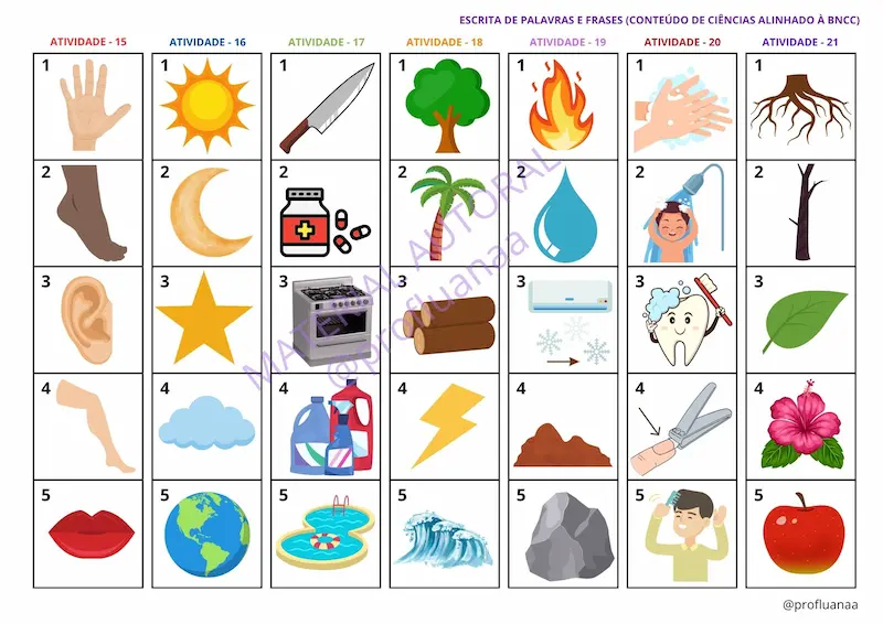 Recurso visual 4